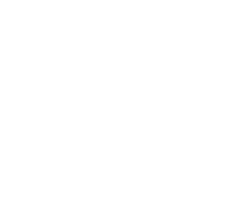 Ecostone